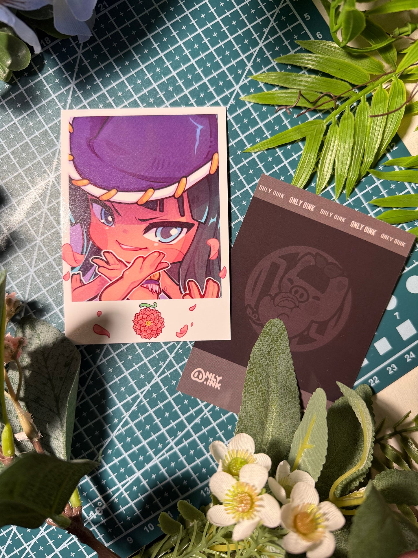 Polaroid | One Piece