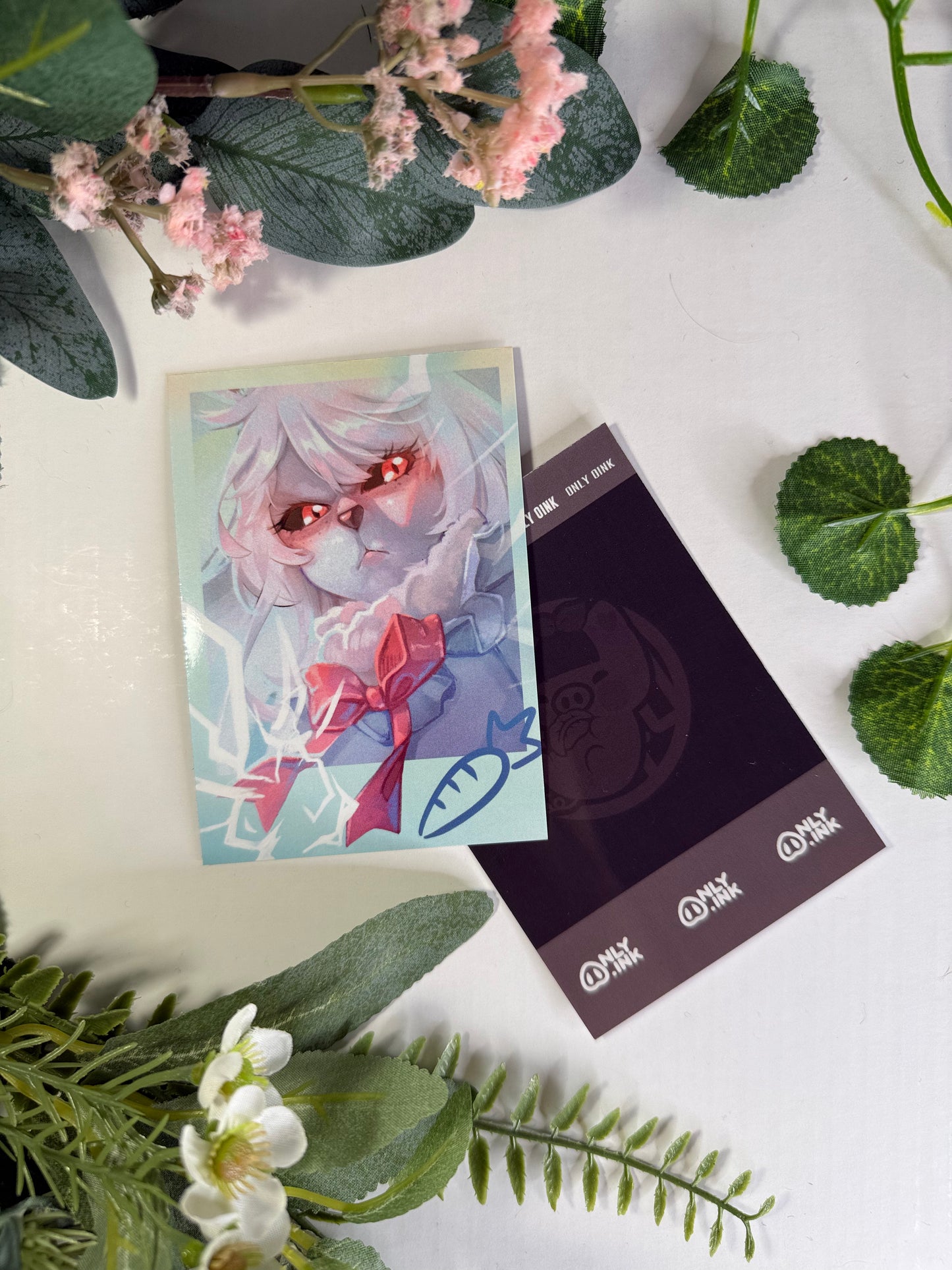 Polaroid | One Piece